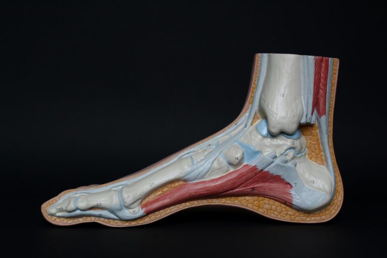 ankle stability